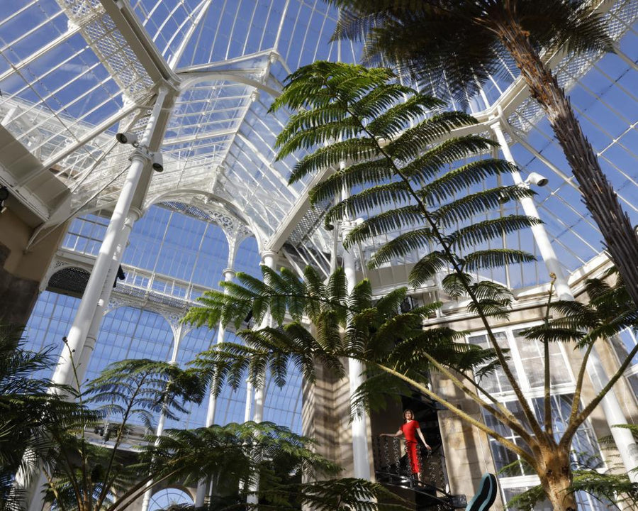 Edinburgh Botanic Garden's Race to Protect Plants from Falling Glass