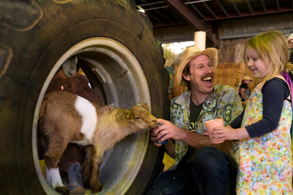 Ekka on a Budget: Brisbane's Royal Show's Enduring Appeal