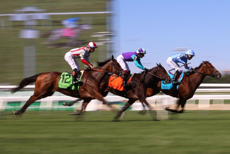 Belmont Park's $555M Transformation: Inside New York Horse Racing