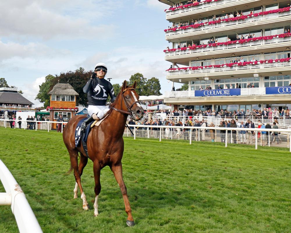 Brilliant Bacio Blasts to Nunthorpe Stakes Victory at York