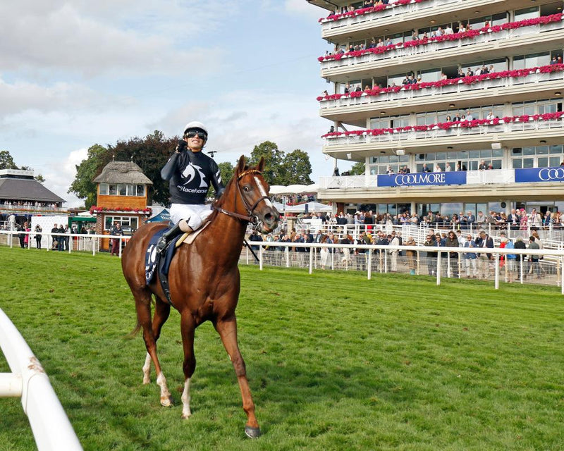 Brilliant Bacio Blasts to Nunthorpe Stakes Victory at York