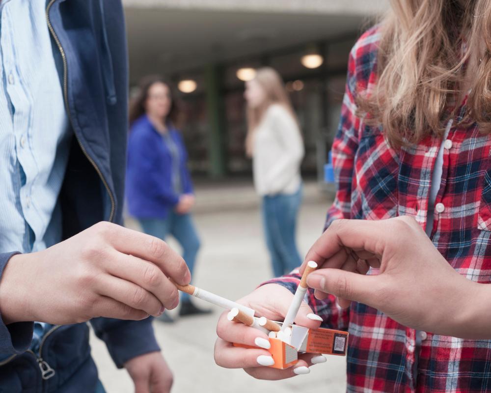 Illicit Cigarette Factory Boom Driven by Organized Crime in EU