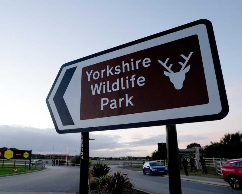 Tiger at Yorkshire Wildlife Park Won't Be Euthanised After Fatal