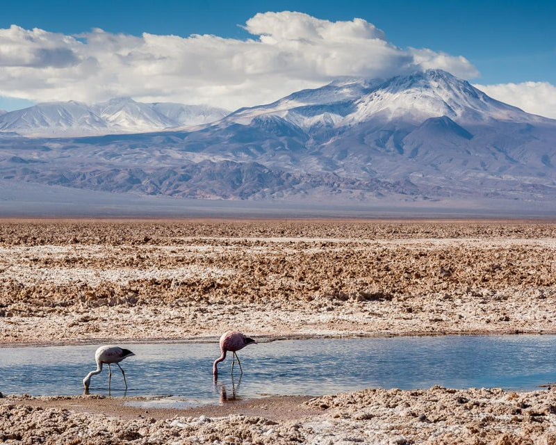 Chile Salt Flat: Lithium Mining and Green Capitalism Impact