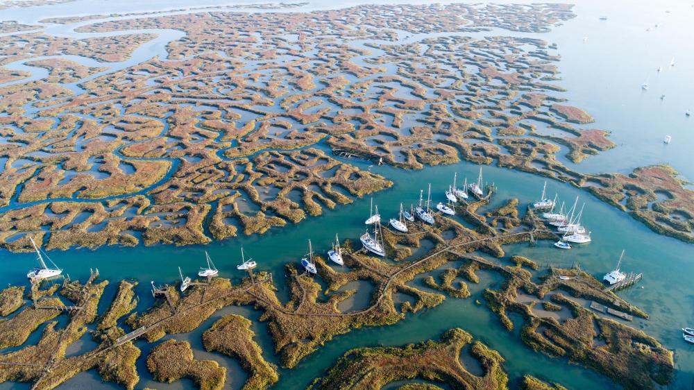 Thames Barge Sailing in Essex: A Timeless River Adventure
