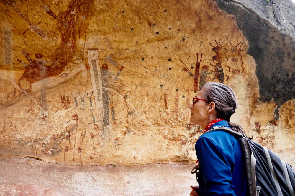 Border Wall Construction Threatens Ancient Rock Art in Texas