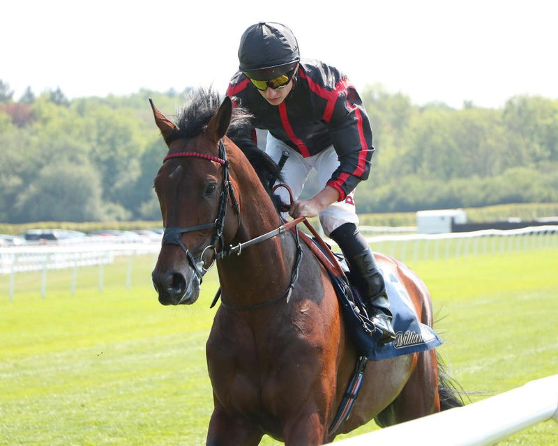 George Waud: Hollywood Owner's Arc de Triomphe Dream