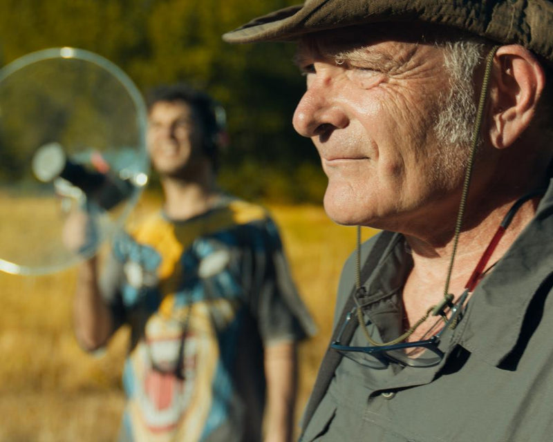 Dream of Birds Documentary: A Must-Watch for Nature Lovers