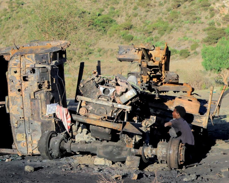 Eritrean Aggression in Ethiopia: A Critical Analysis