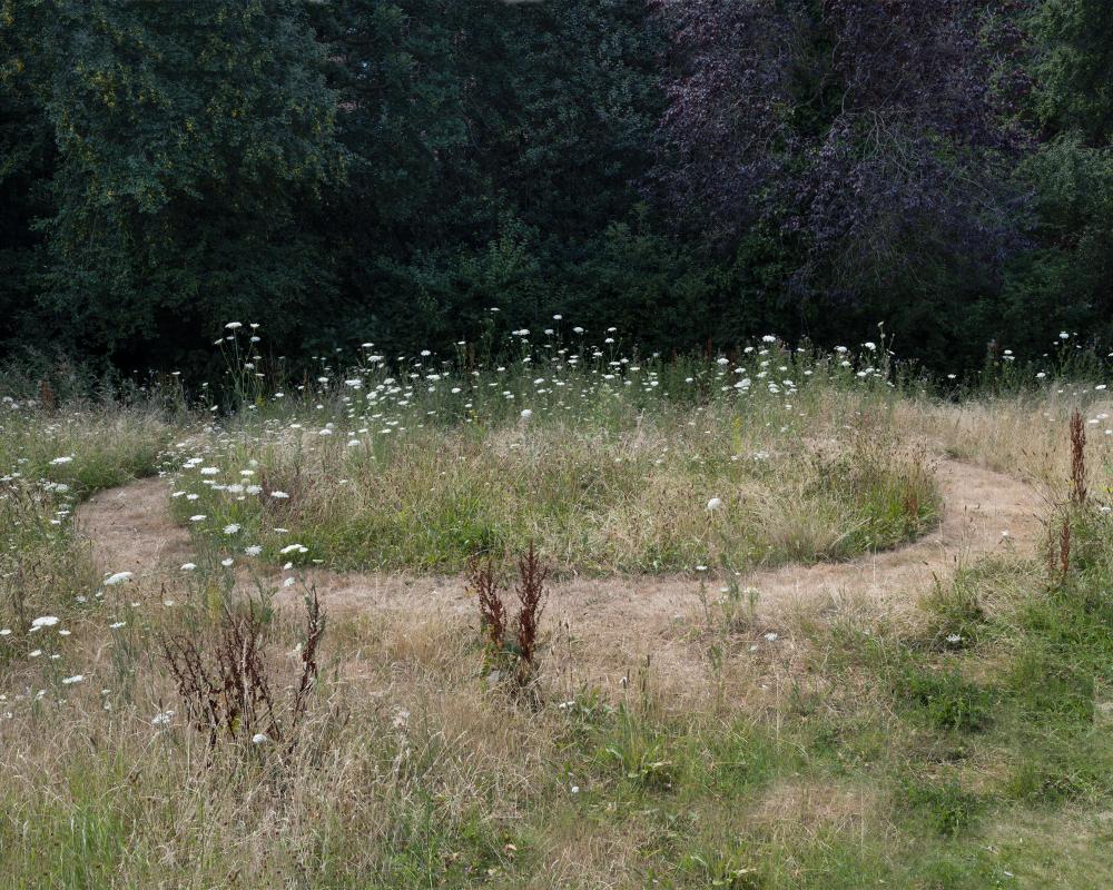Sod Swap: 40 Years of Turf Swaps and Britain's Biodiversity Crisis
