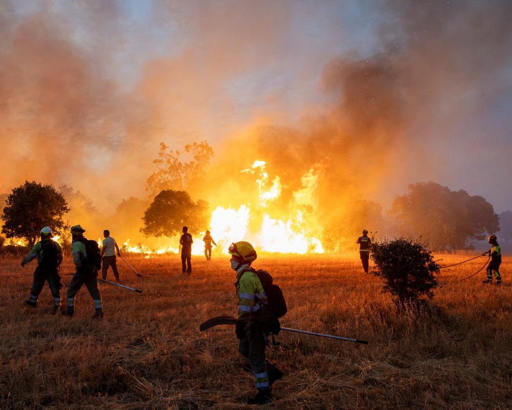 Europe Wildfires 2025: Record Fire Weather Sparks Emergency
