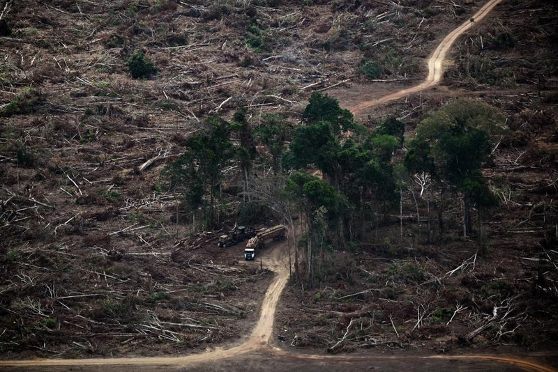 Planetary Boundaries Breached: Seven Limits Now in Danger Zone