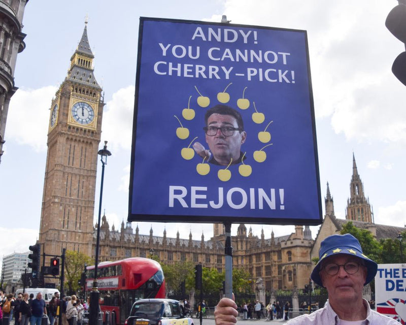 Tony Blair Urges Britain to Rejoin EU Within Next Decade