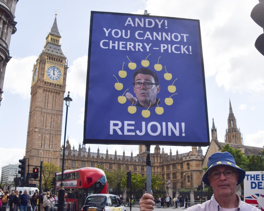 Tony Blair Urges Britain to Rejoin EU Within Next Decade