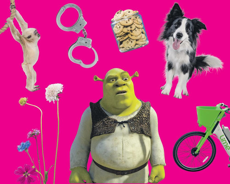 Latest Dating Terms 2025: Shrekking, Cookie-Jarring & More