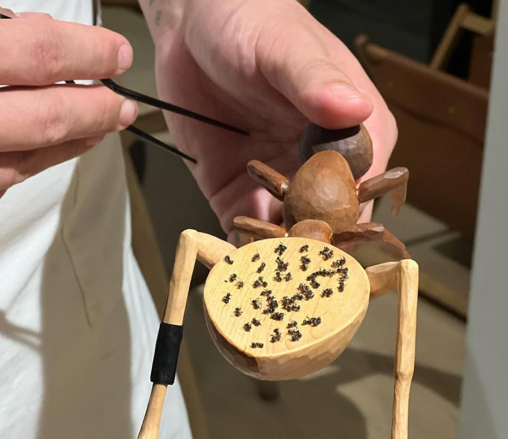 Michelin-Starred Seoul Restaurant Fined for Serving Ants Dessert