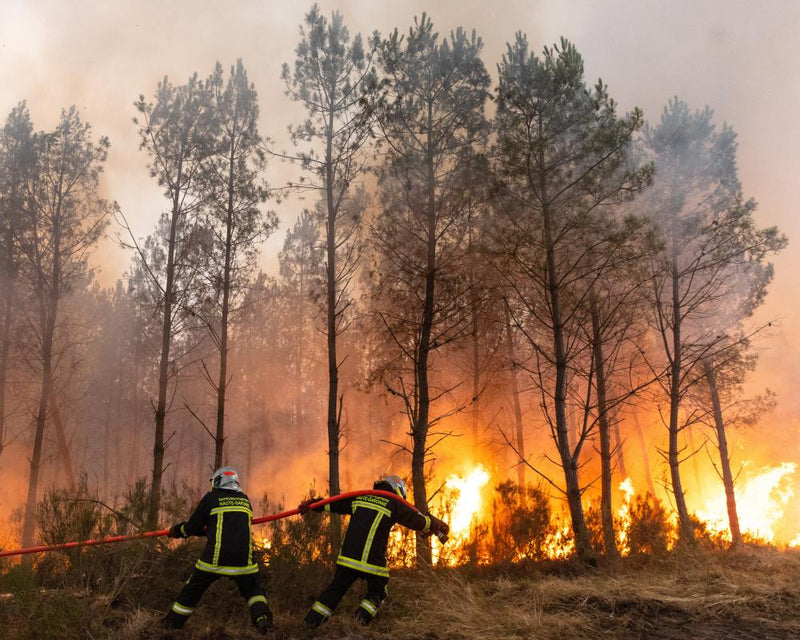 France Wildfires Force Mass Evacuations: What Tourists Need to
