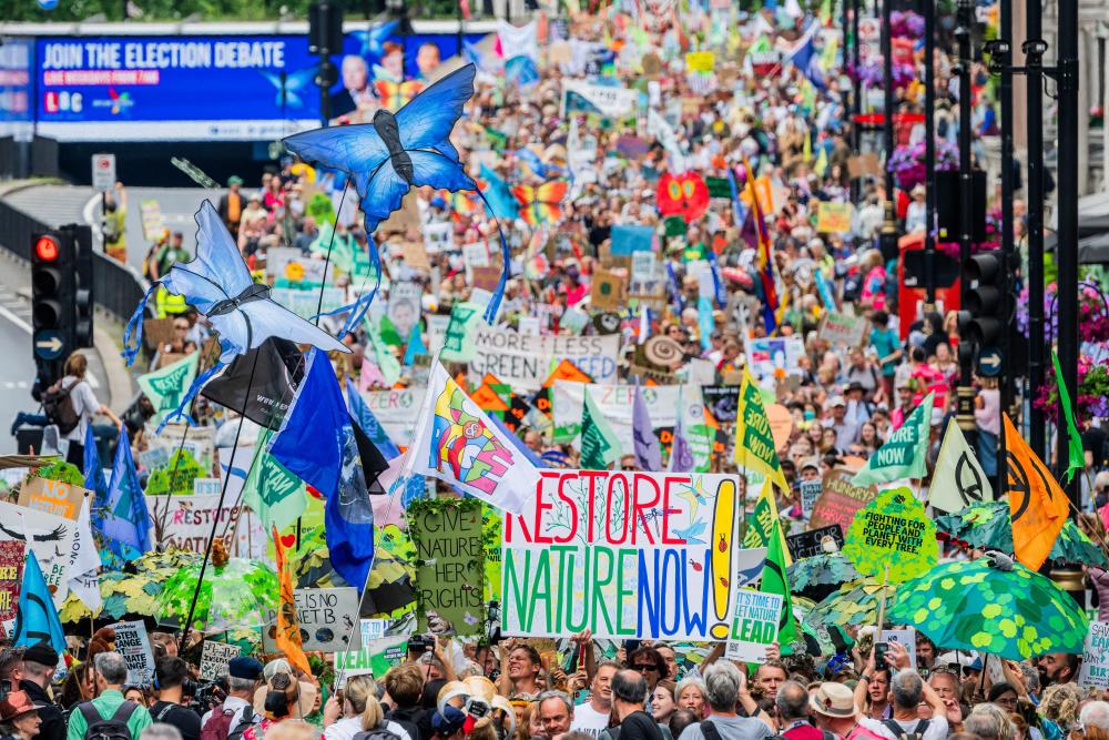 Climate Despair Is a Trap: Why Hope and Action Matter Now