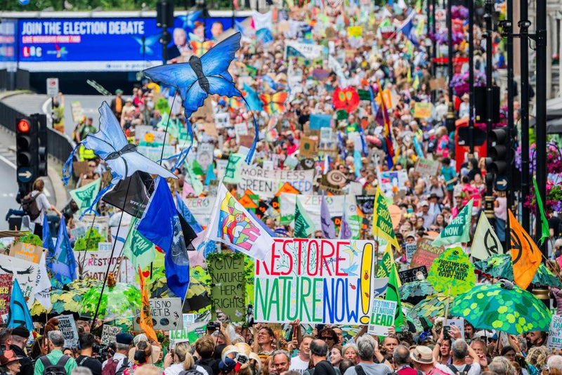Climate Despair Is a Trap: Why Hope and Action Matter Now