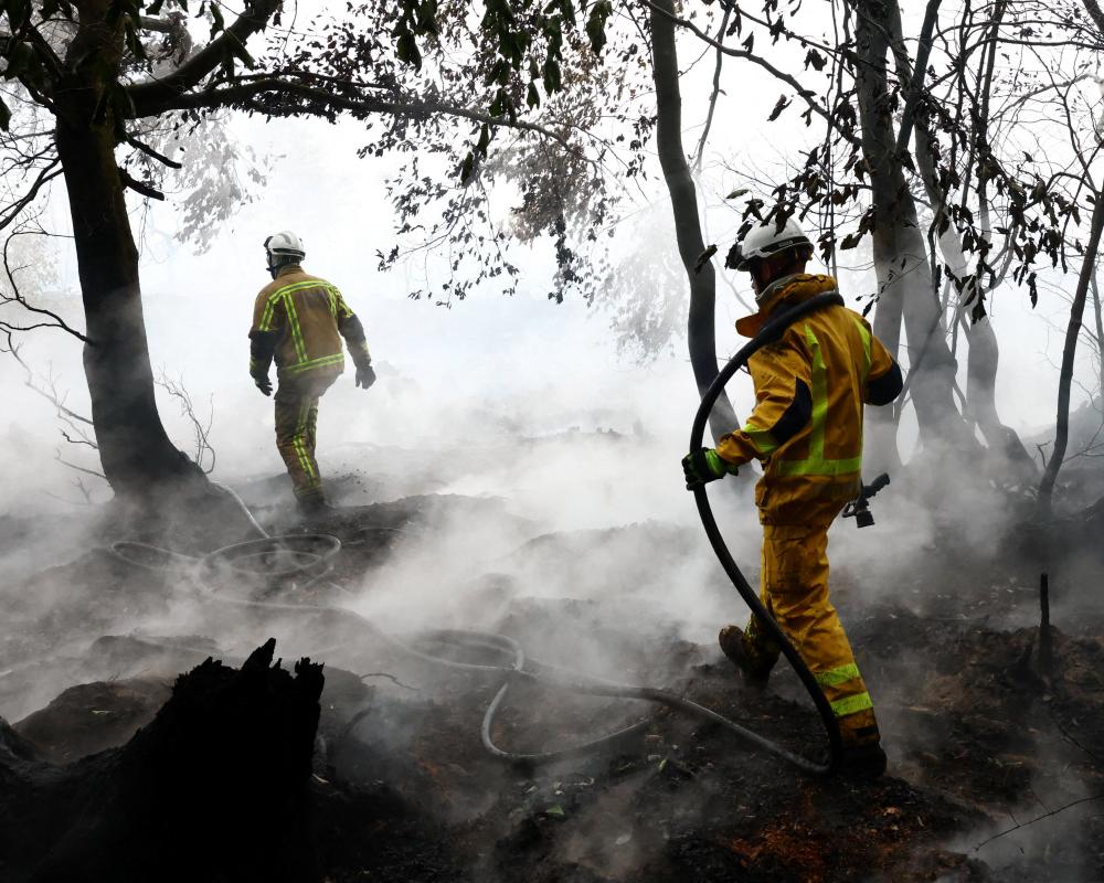 Europe Wildfires to Increase 39% Even in Best-Case Climate Scenario