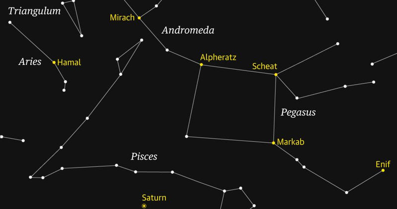 Bright Stars of Pegasus Make This Constellation Easy to See