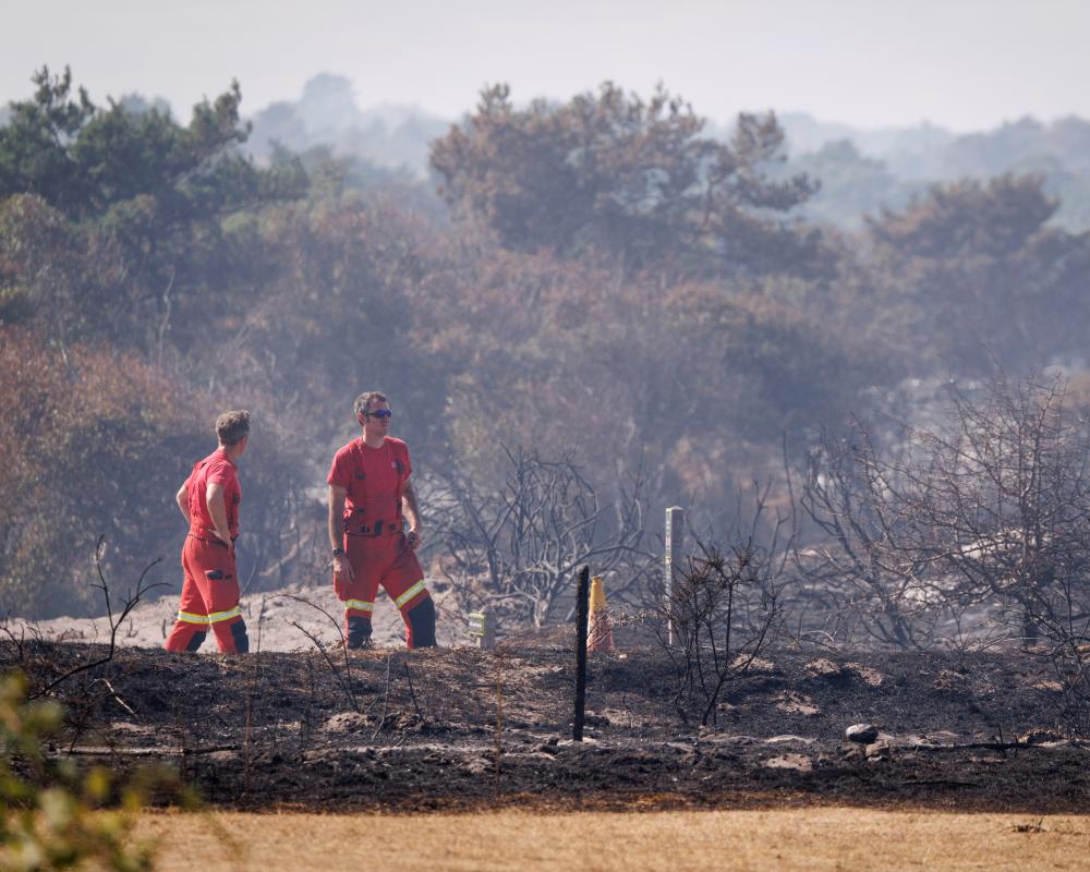 Burnham to Launch AI Unit for Wildfire Detection After Record Summer