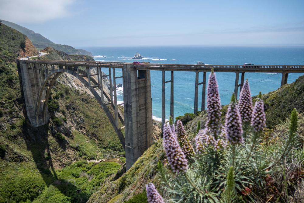 Alcohol Withdrawal Led to Woman's Death in Big Sur Backcountry