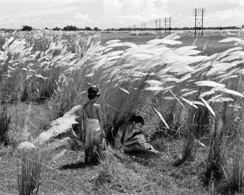 How Contemporary Films Shaped Global Cinema and My Directing Career