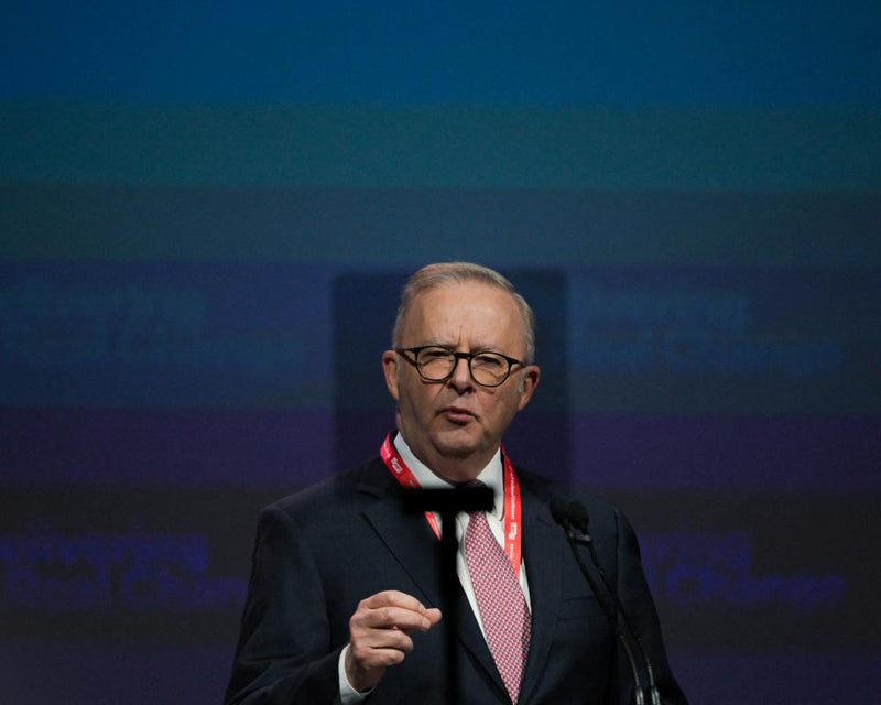 Telehealth for euthanasia: Albanese opposes Labor policy change