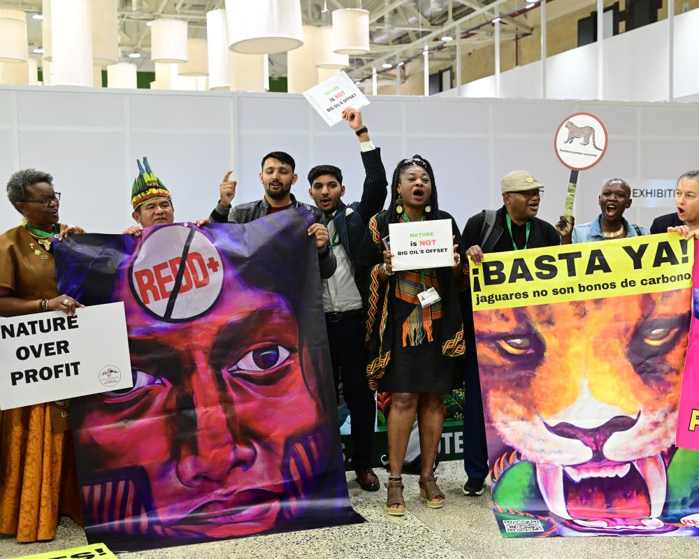 COP17 Biodiversity Summit Stalls: Time to Reform the Process