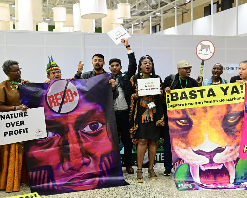COP17 Biodiversity Summit Stalls: Time to Reform the Process