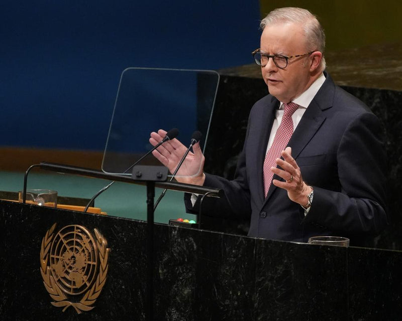 Albanese Rejects Delay Claims Over OpenAI Medicare Hack
