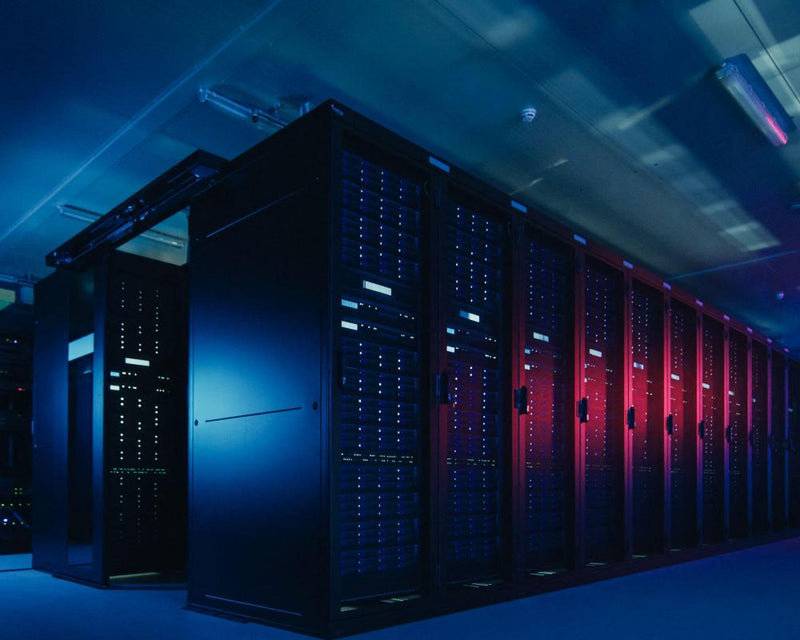AI Cloud Computing Companies Face 'Guppy-Level Death' as Funding Dries