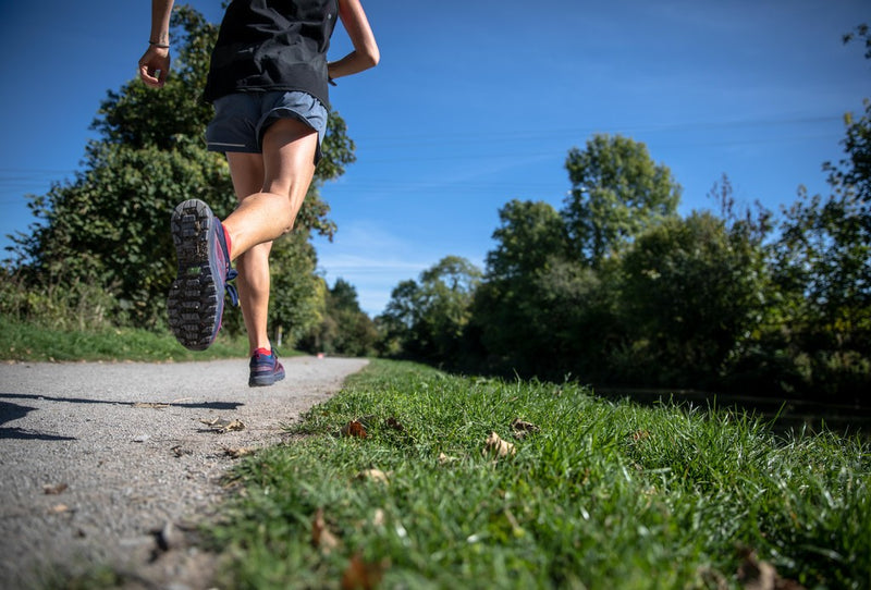 The seven best running shoes for fall 2019 - Grand Goldman