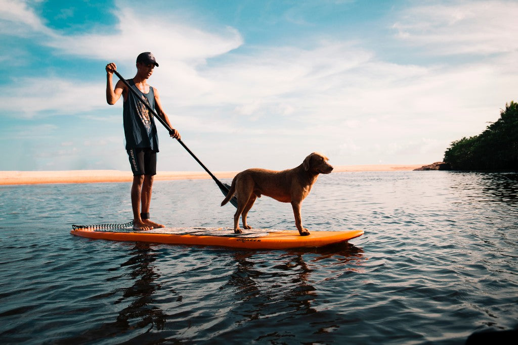 Paddle surfing: the best deals to get your complete gear during these sales - Grand Goldman