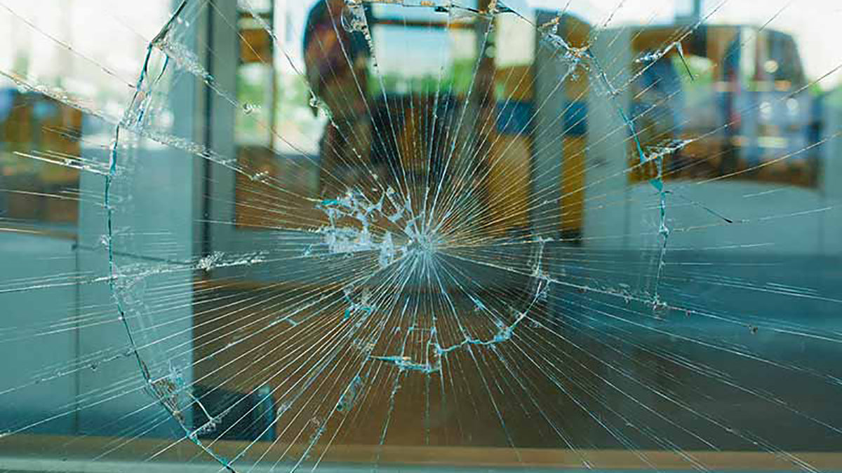 10 Best Window Security Film (Reviews) – Grand Goldman