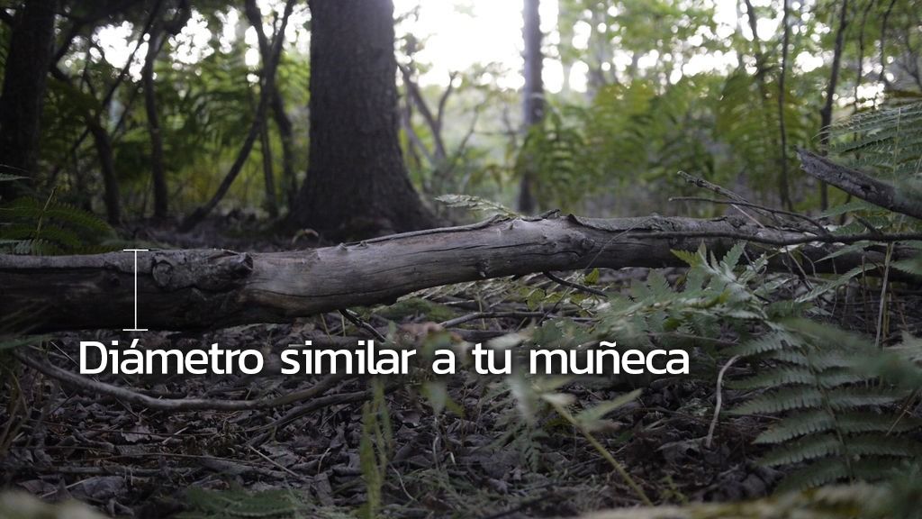 Charger stand for your wristwatch - grandgoldman.com