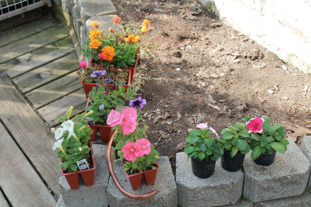 Garden Paint Palette - grandgoldman.com