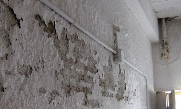 Permanently remove moisture from your wall - grandgoldman.com