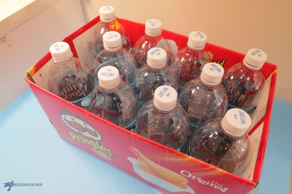 How to Make a Vertical Garden with Plastic Bottles - grandgoldman.com