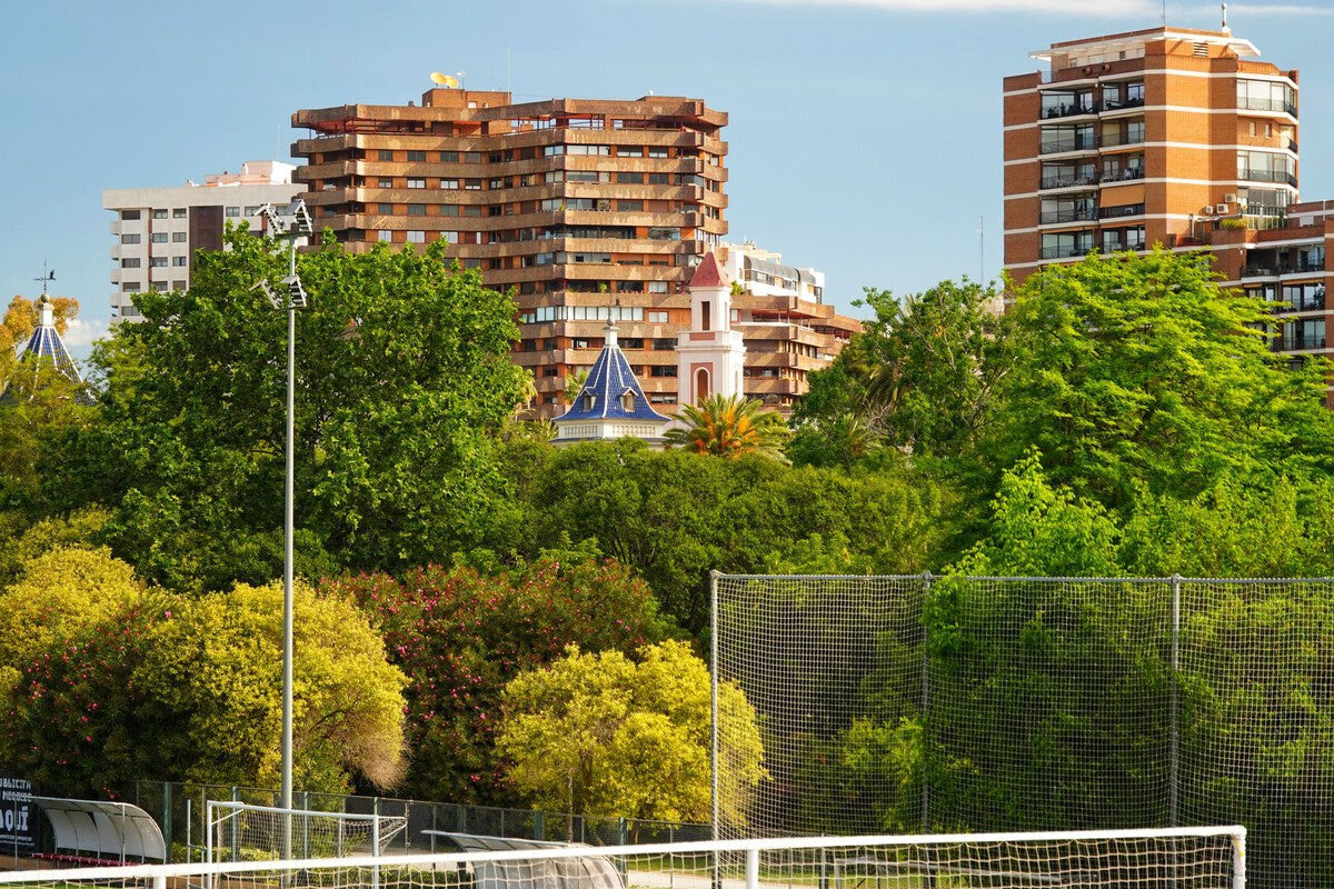 Not All Trees Cool Cities Equally: Science Reveals Best Species