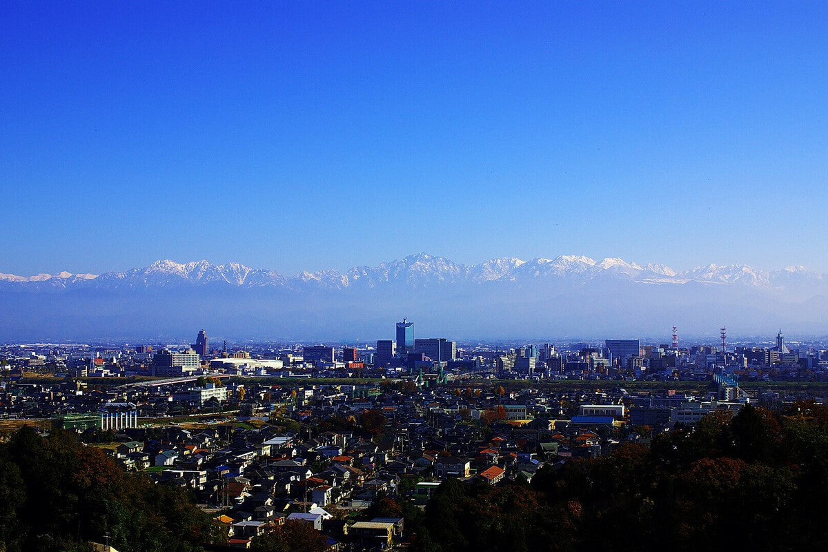 Japan's Demographic Crisis: Toyama Officials Accused of Adding 2,000 Fake