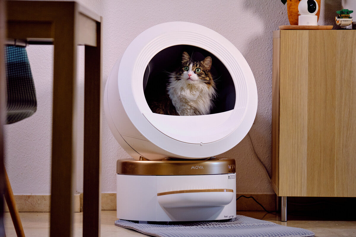 Mova LR10 Prime Automatic Litter Box: Honest Review After Three Weeks