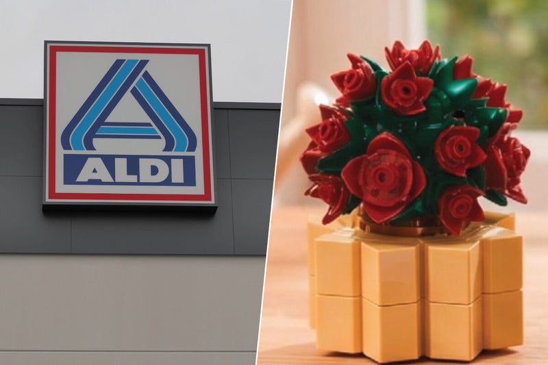 Aldi Plant Building Set: Affordable Home Decor Arrives August 19