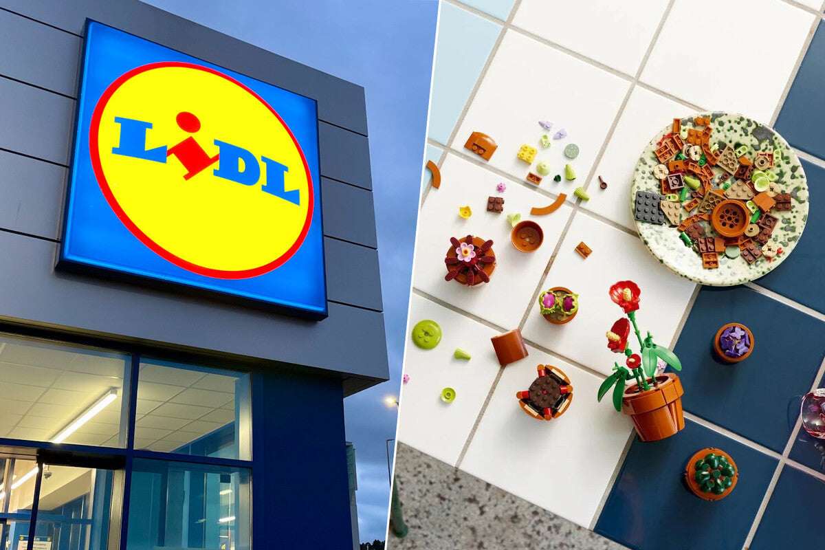 Lidl's Lego Botanical Set: 9 Tiny Plants to Decorate Your Home