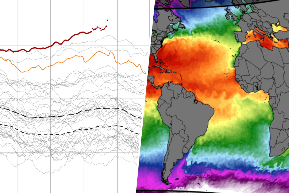 Ocean Temperature Hits 125,000-Year High, Experts Sound Alarm