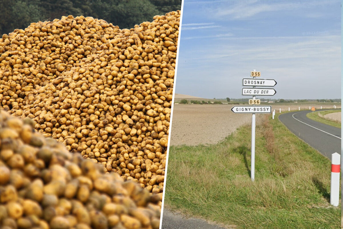 Farmer Gives Away 500 Tons of Potatoes and Sparks a Frenzy
