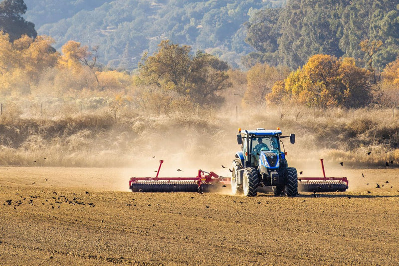 AMOC Collapse Threatens Global Cereal Production and Food Security