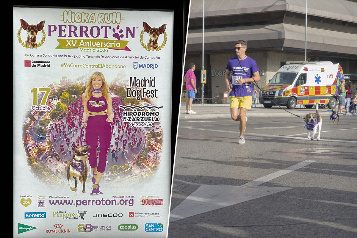 Madrid Dog Marathon 2026: Europe's Largest Dog-Friendly Race