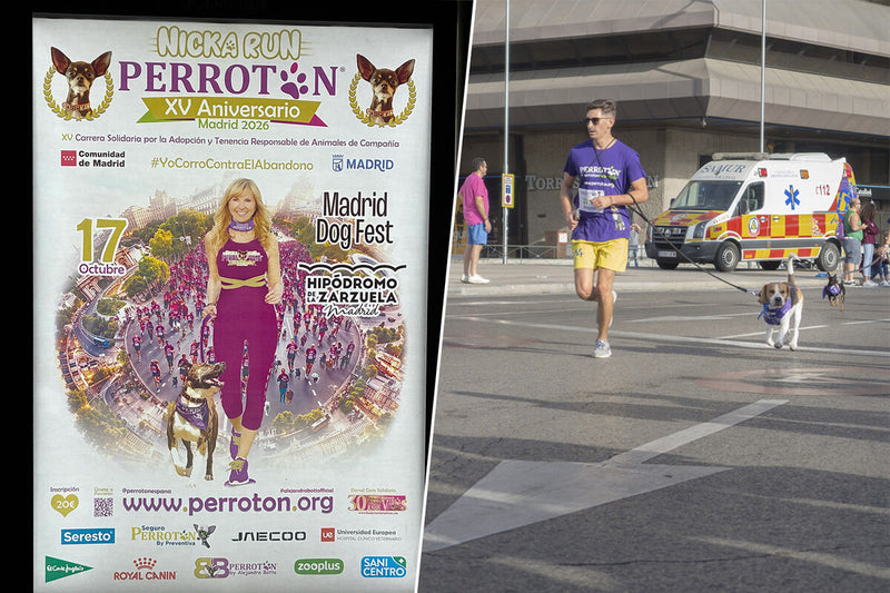 Madrid Dog Marathon 2026: Europe's Largest Dog-Friendly Race